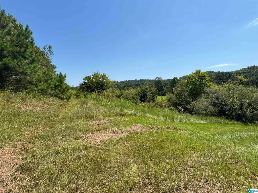6559 ALABAMA HIGHWAY 174, Springville, AL 35146 - #3