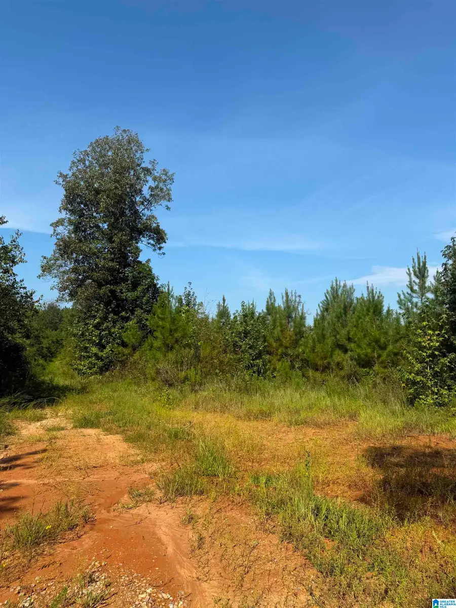 LYNN BENNETT ROAD, York, AL 36925 - #2