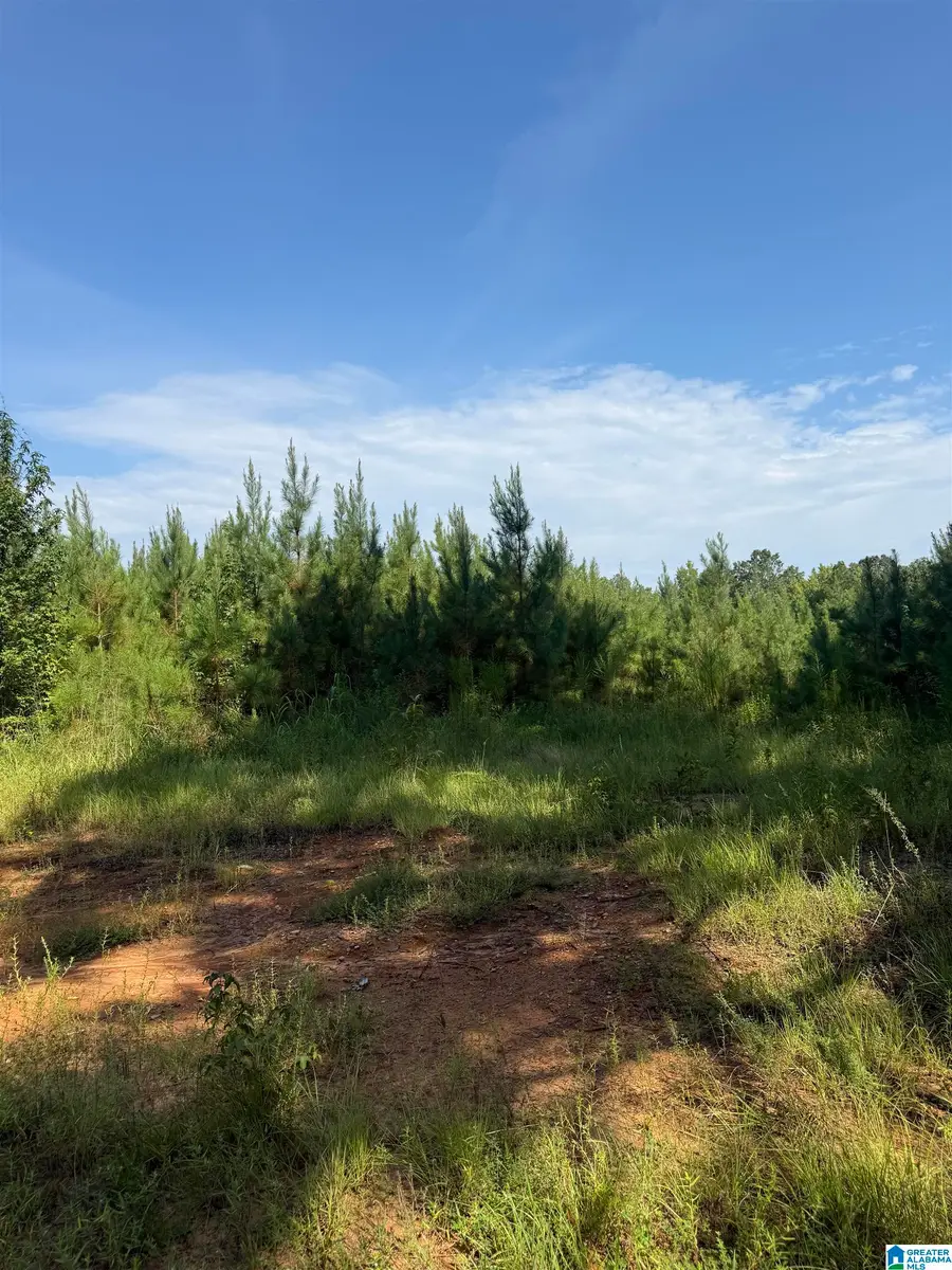LYNN BENNETT ROAD, York, AL 36925 - #3