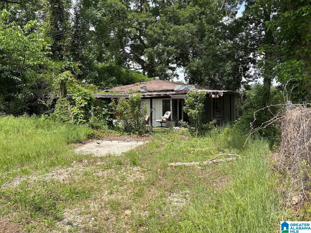 636 SHORE DRIVE, Ashville, AL 35953 - #1