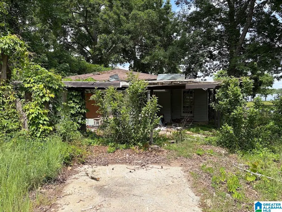 636 SHORE DRIVE, Ashville, AL 35953 - #2