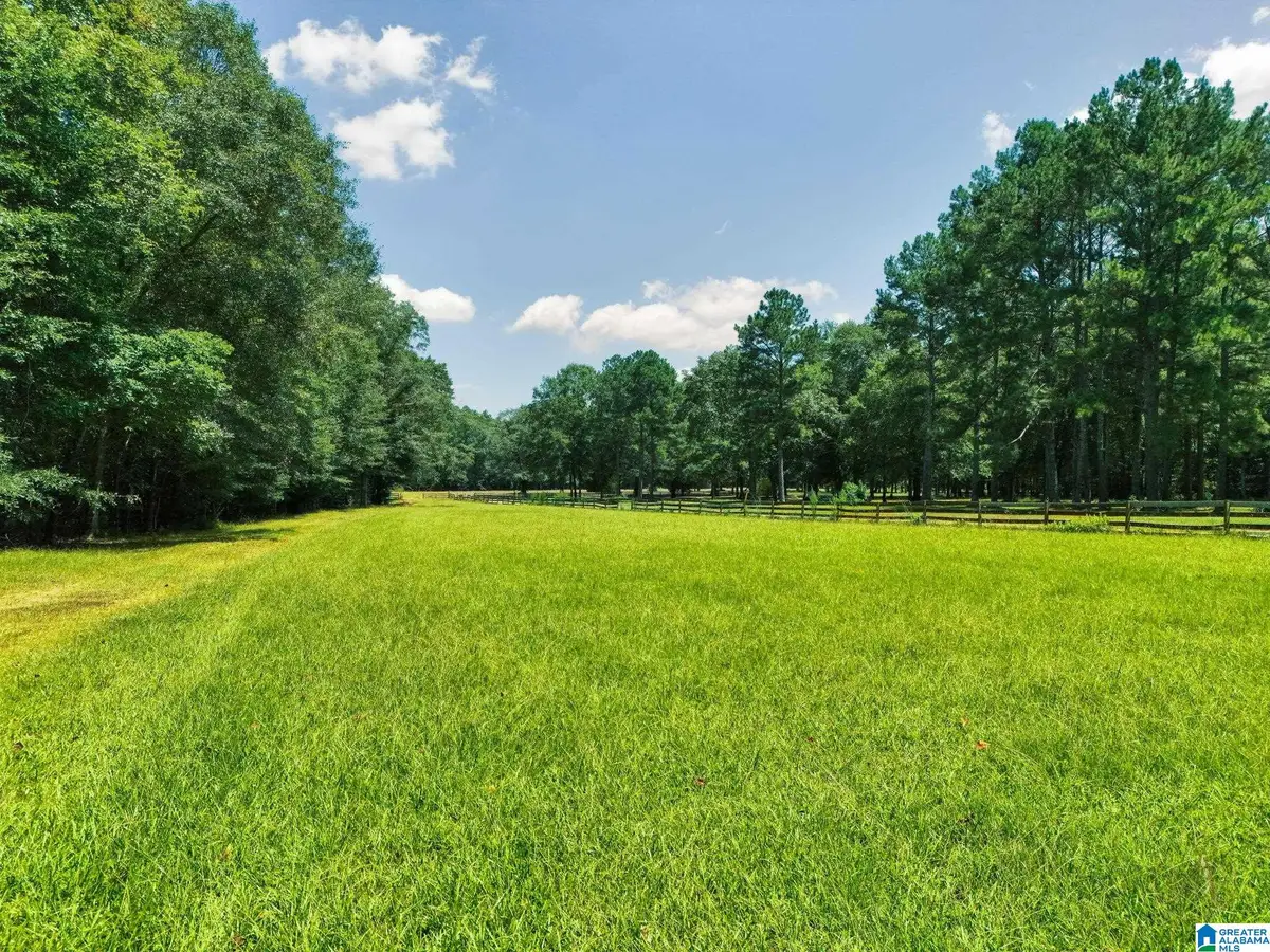64291 HIGHWAY 39, Chelsea, AL 35043 - #1