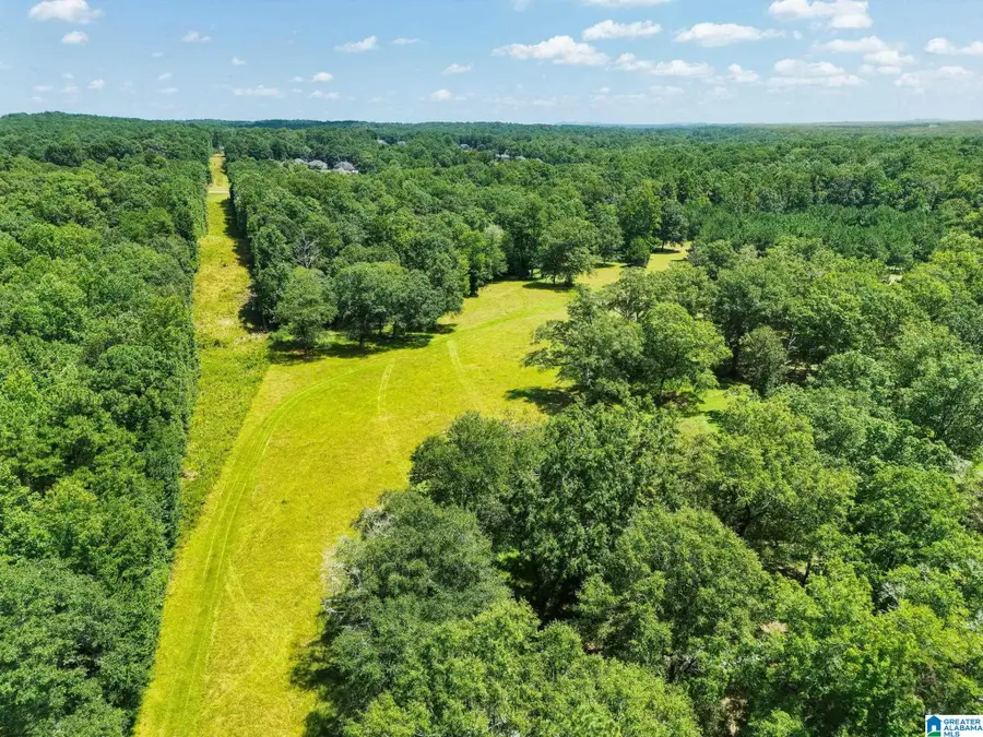 64291 HIGHWAY 39, Chelsea, AL 35043 - #2