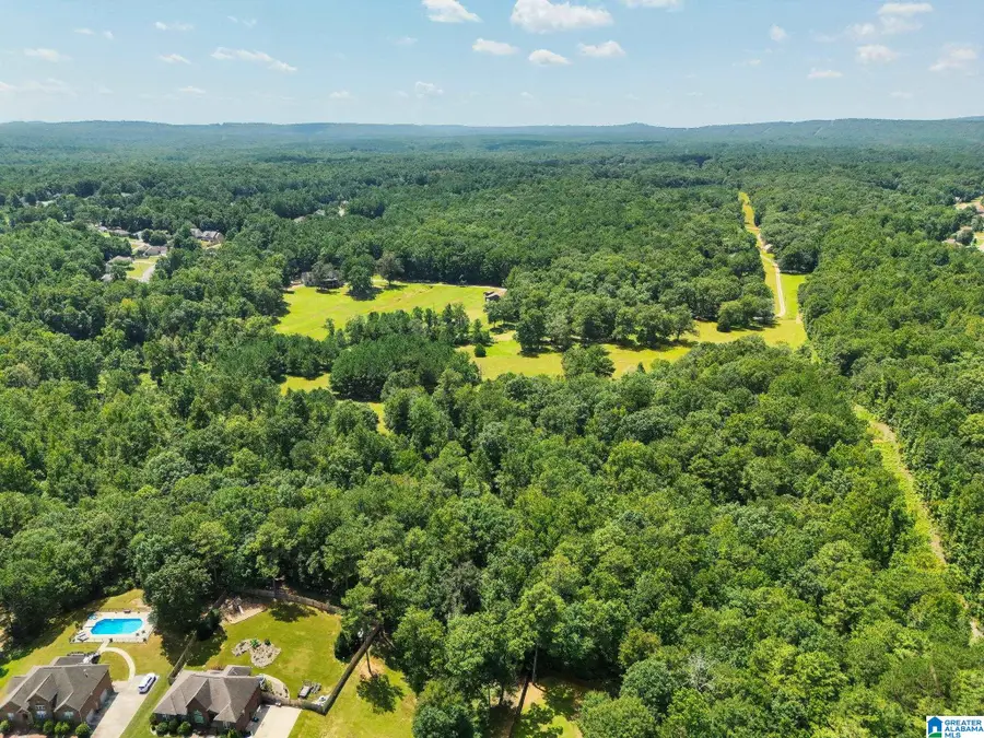 64291 HIGHWAY 39, Chelsea, AL 35043 - #3