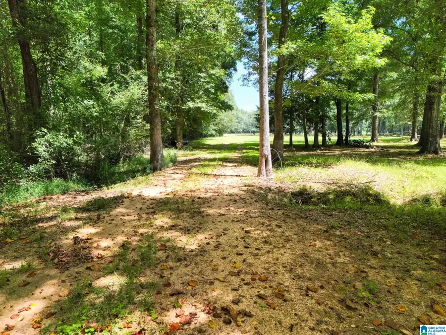 6429 HIGHWAY 39, Chelsea, AL 35043 - #3