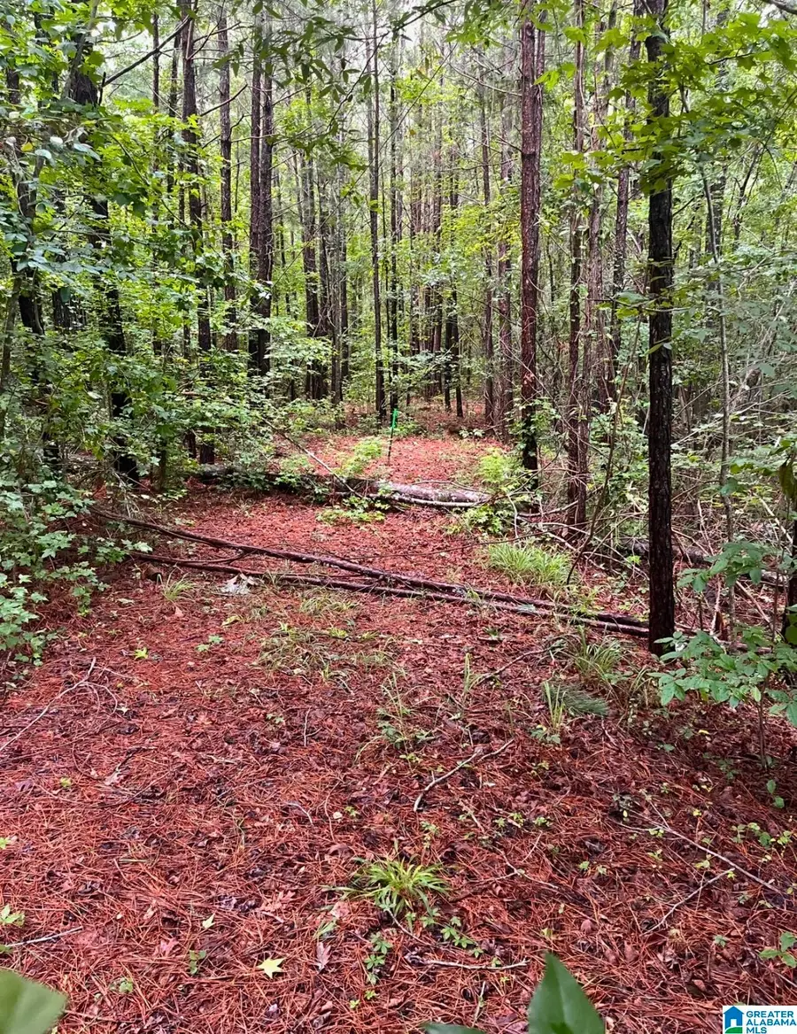 Lot 17A OLD FOREST DRIVE, Odenville, AL 35120 - #3