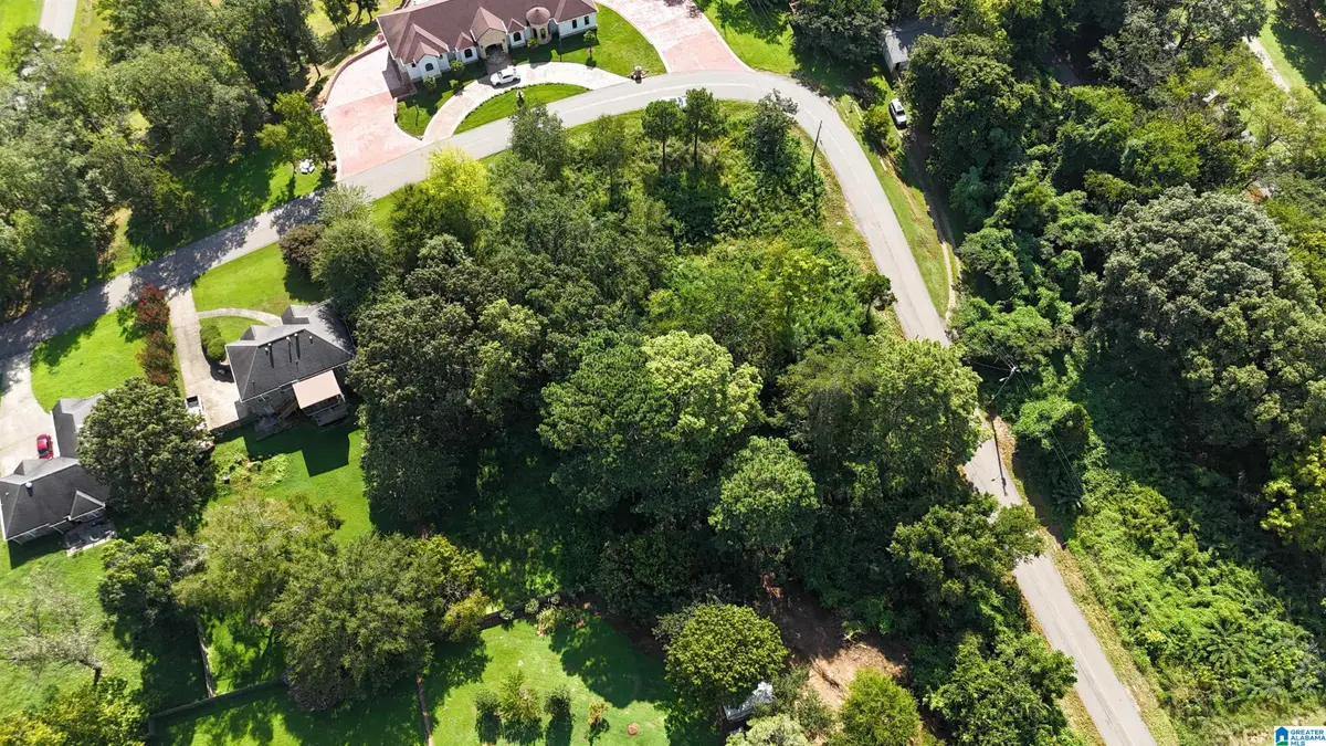 907 WALKER AVENUE, Fultondale, AL 35217 - #1
