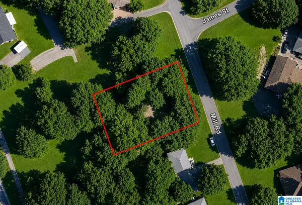 161 MILL ROAD, Springville, AL 35146