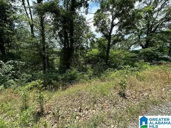2319 43RD AVENUE N, Birmingham, AL 35207