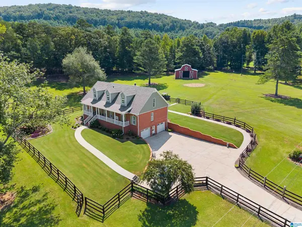 8401 CLAYTON ROAD, Springville, AL 35146