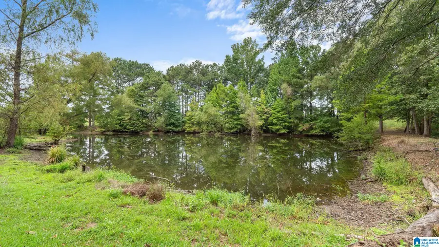 11597 SIPSEY VALLEY ROAD S, Buhl, AL 35446 - #2