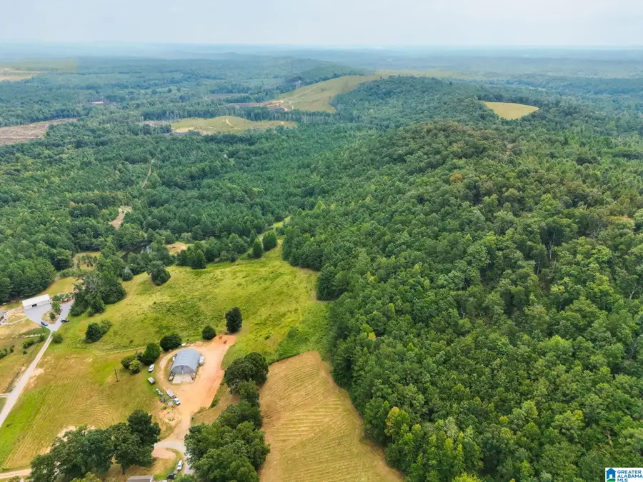 0 COUNTY ROAD 835, Clanton, AL 35046 - #3