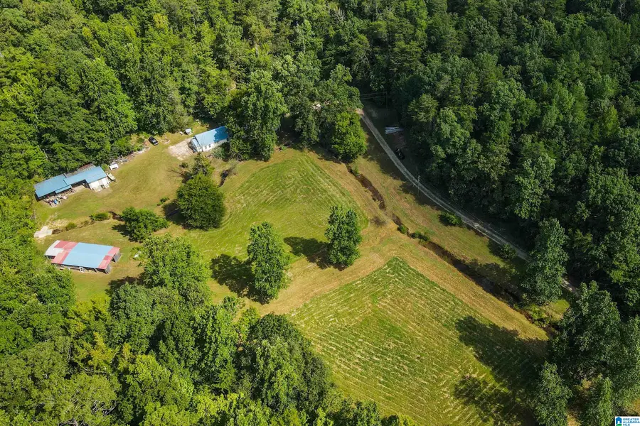 750 PLUM NELLY LANE, Oxford, AL 36203 - #3