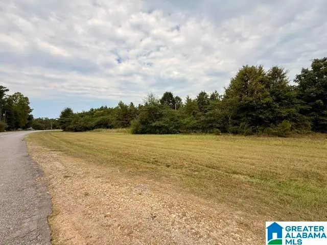 0 COUNTY ROAD 37, Clanton, AL 35045 - #3
