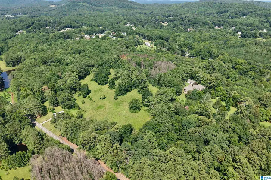 7571 MACK HICKS ROAD, Trussville, AL 35173 - #3