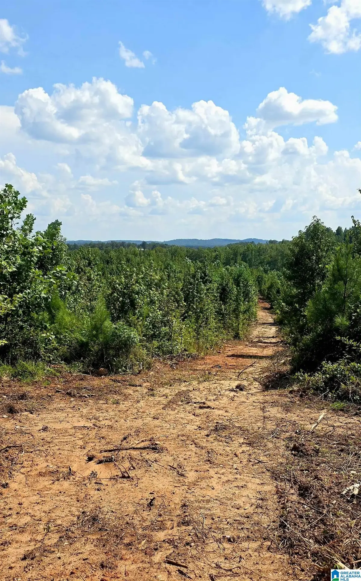 Tract 7 COUNTY ROAD 256, Wedowee, AL 36278 - #1