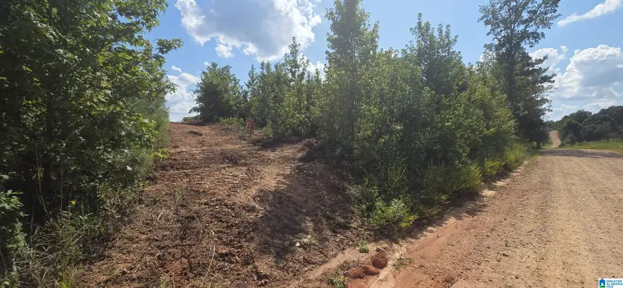 Tract 7 COUNTY ROAD 256, Wedowee, AL 36278 - #2