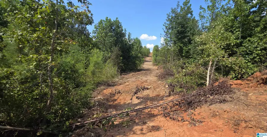 Tract 7 COUNTY ROAD 256, Wedowee, AL 36278 - #3