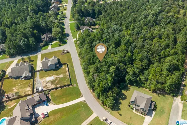 0 CARRINGTON LAKE PARKWAY, Trussville, AL 35173