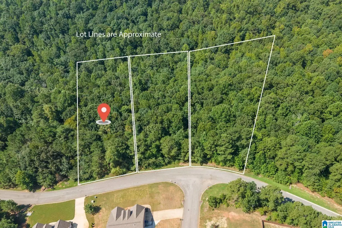 5534 CARRINGTON LAKE PARKWAY, Trussville, AL 35173 - #1