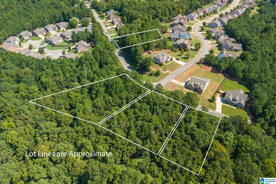 5534 CARRINGTON LAKE PARKWAY, Trussville, AL 35173 - #3