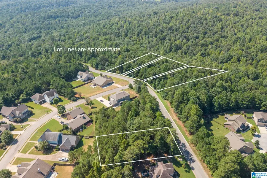 5538 CARRINGTON LAKE PARKWAY, Trussville, AL 35173 - #2