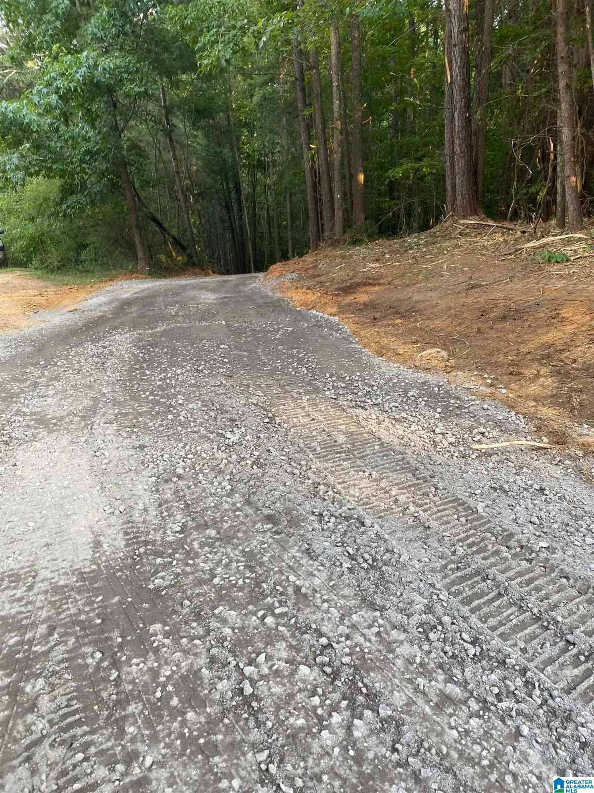 581 BUDDY VINES CAMP ROAD, Bessemer, AL 35023 - #1
