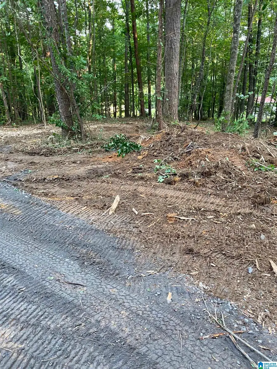 581 BUDDY VINES CAMP ROAD, Bessemer, AL 35023 - #2