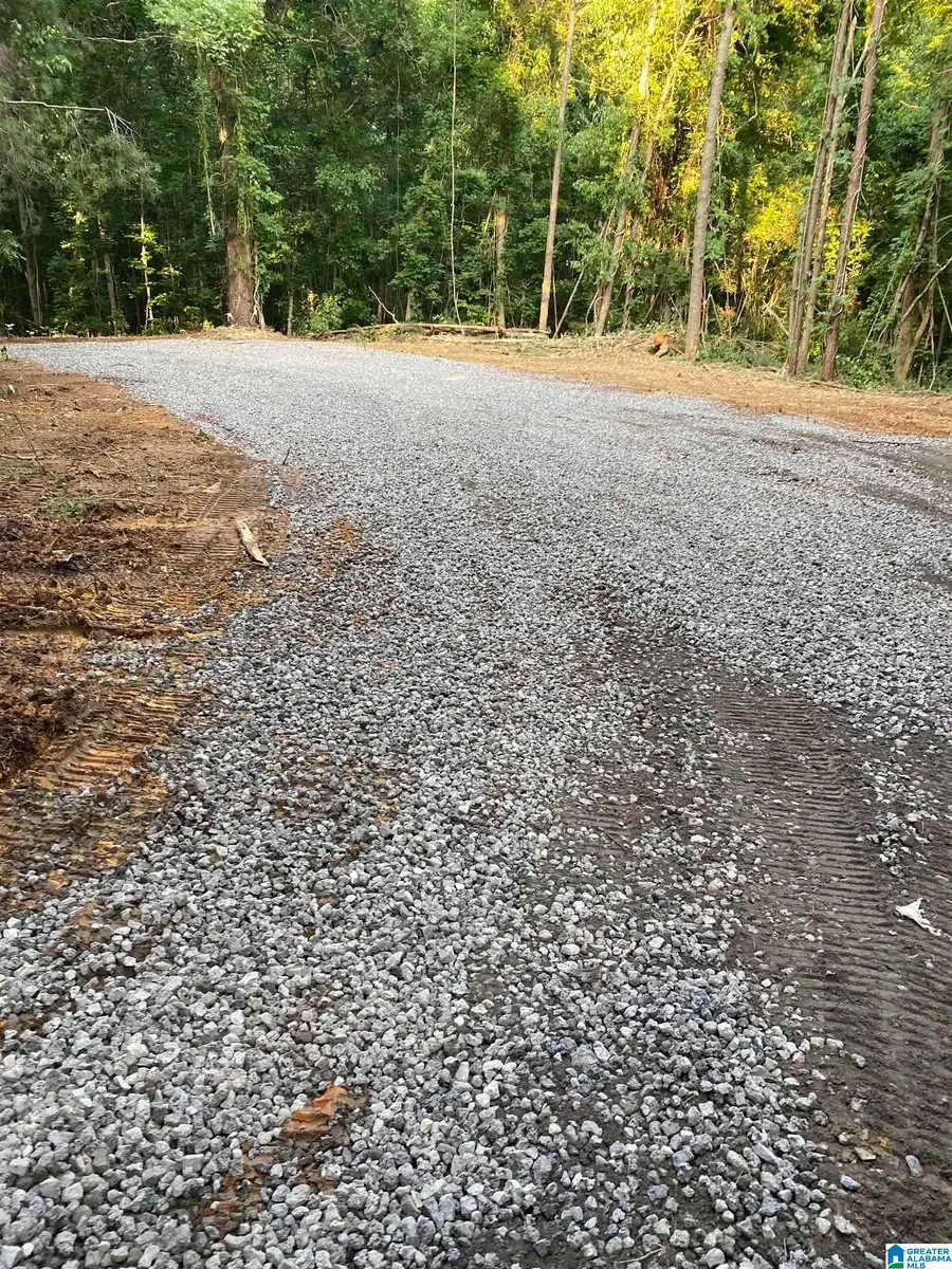 581 BUDDY VINES CAMP ROAD, Bessemer, AL 35023 - #3