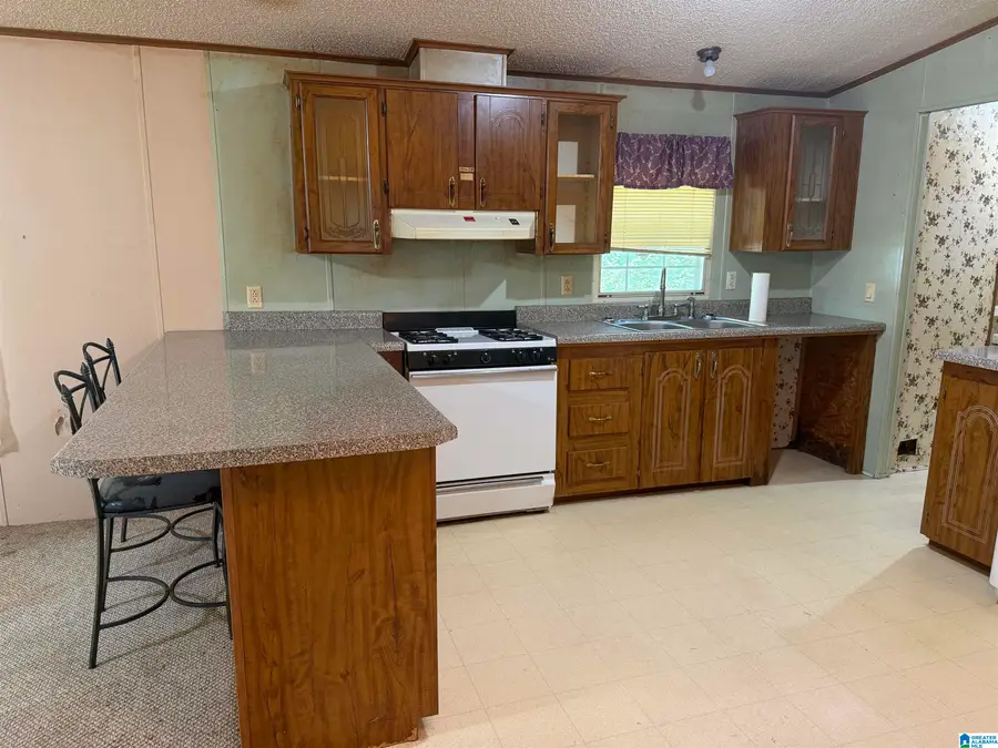 647 DEARMANVILLE DRIVE S, Anniston, AL 36207 - #2