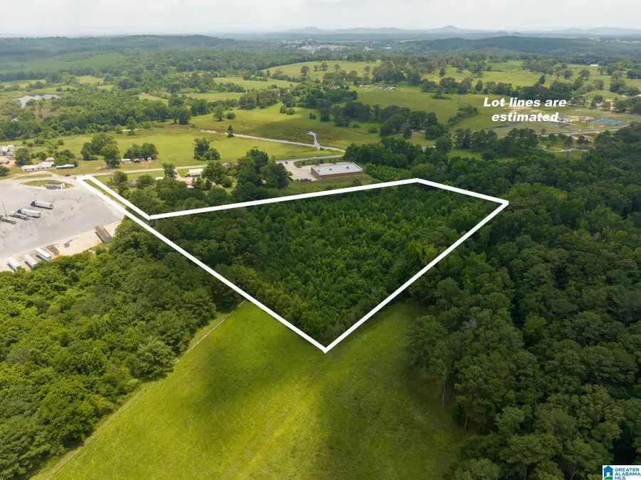 0 STEMLEY ROAD, Lincoln, AL 35096 - #3