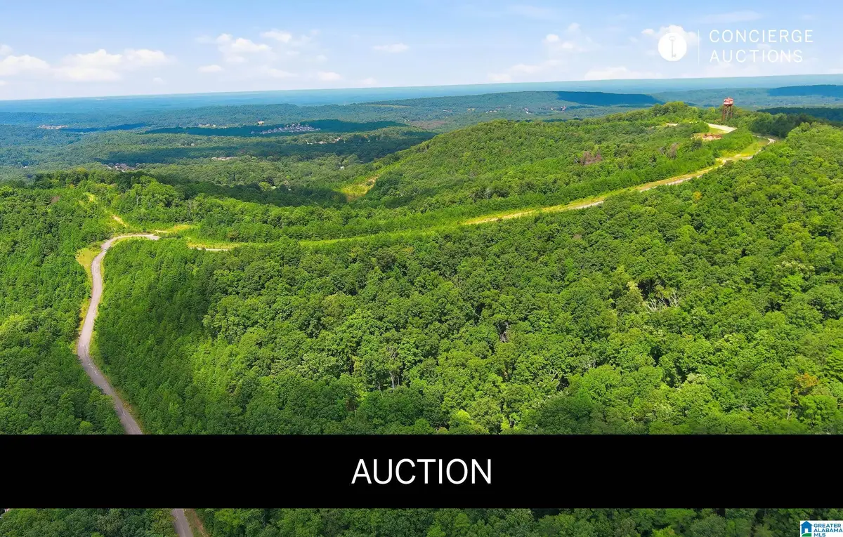 6522 OLD SPRINGVILLE ROAD, Pinson, AL 35126 - #1