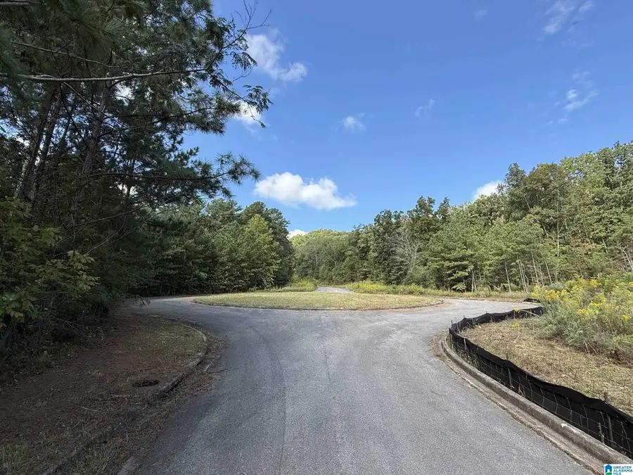 6522 OLD SPRINGVILLE ROAD, Pinson, AL 35126 - #2