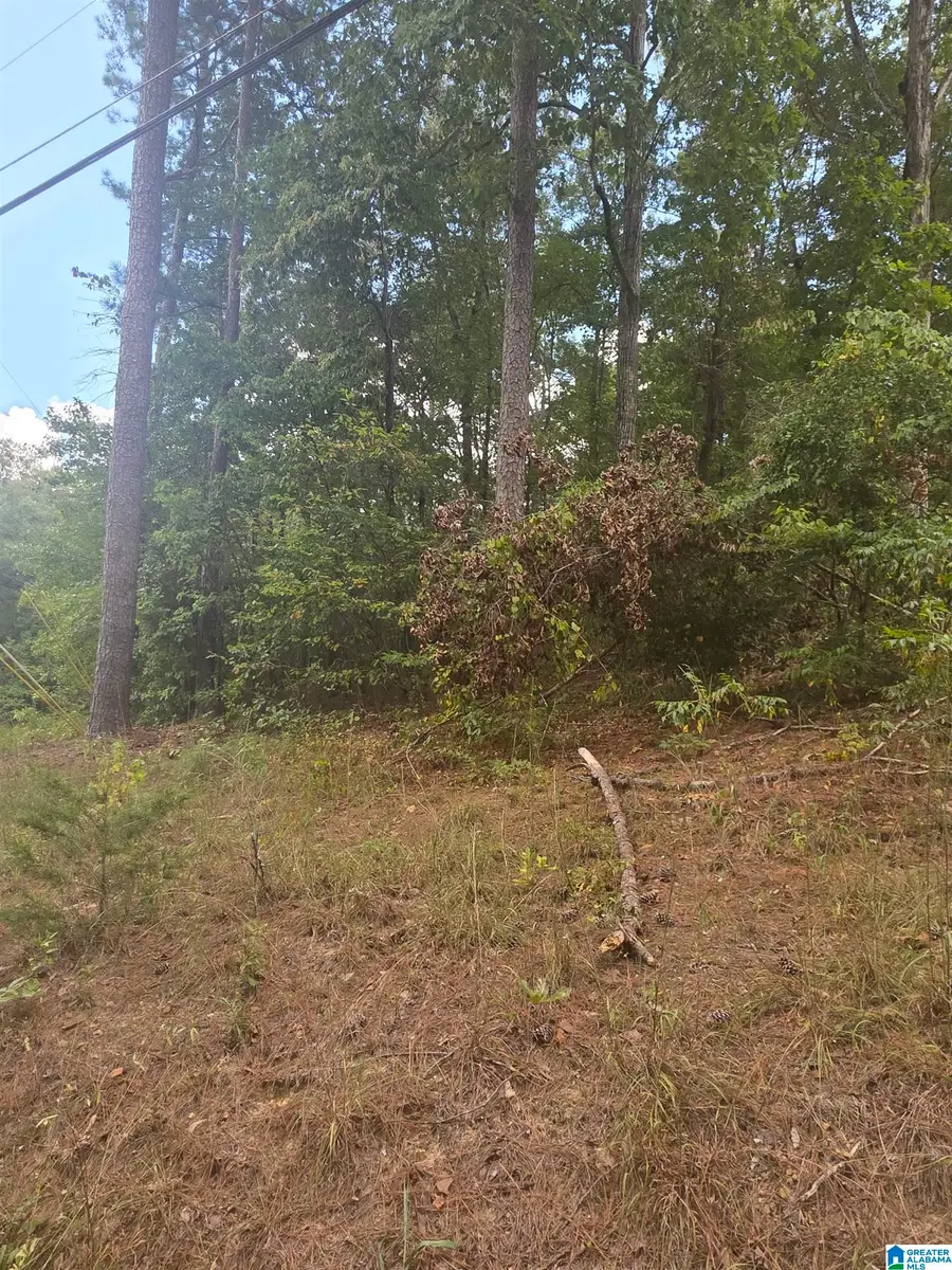00 DELMAR DRIVE, Abernant, AL 35111 - #3