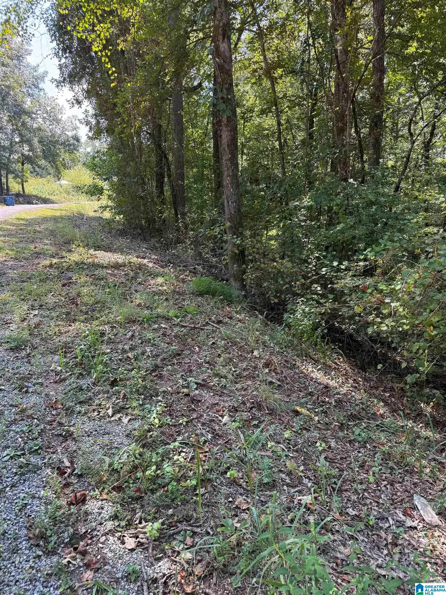 0 MAPLEWOOD DRIVE, Talladega, AL 35160 - #3