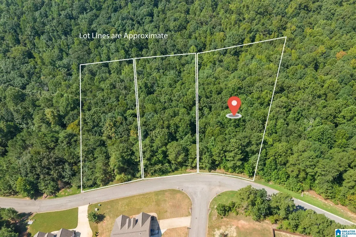 5542 CARRINGTON LAKE PARKWAY, Trussville, AL 35173 - #1