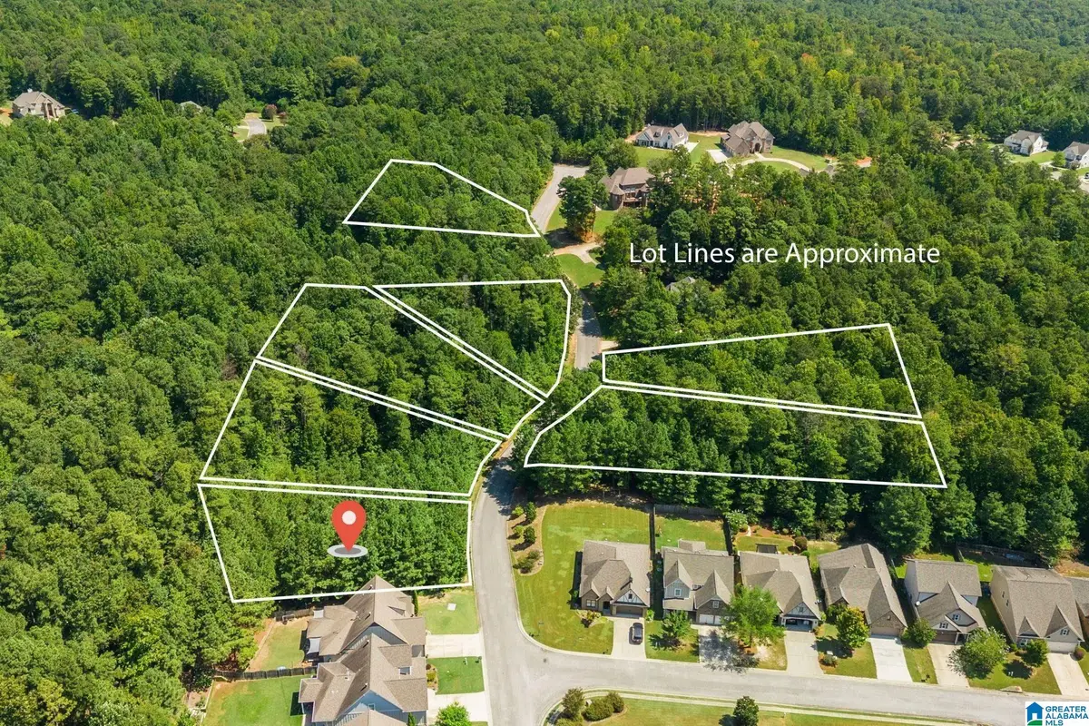 1060 OVERLOOK DRIVE, Trussville, AL 35173 - #1