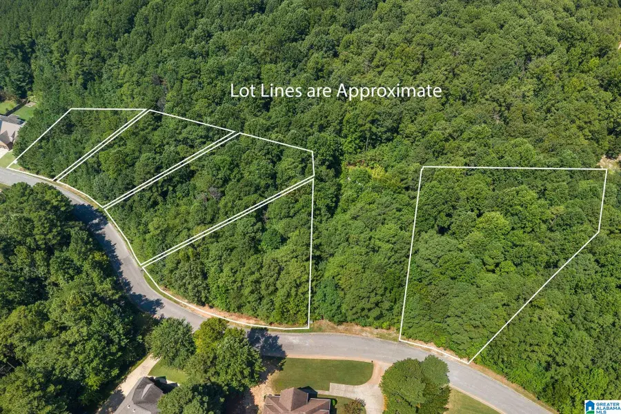 1060 OVERLOOK DRIVE, Trussville, AL 35173 - #3