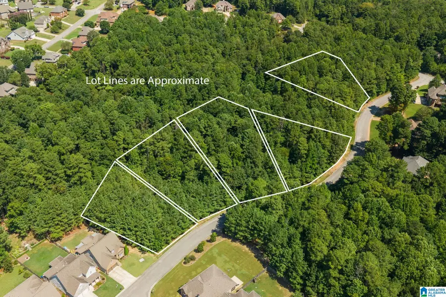 1010 OVERLOOK DRIVE, Trussville, AL 35173 - #2