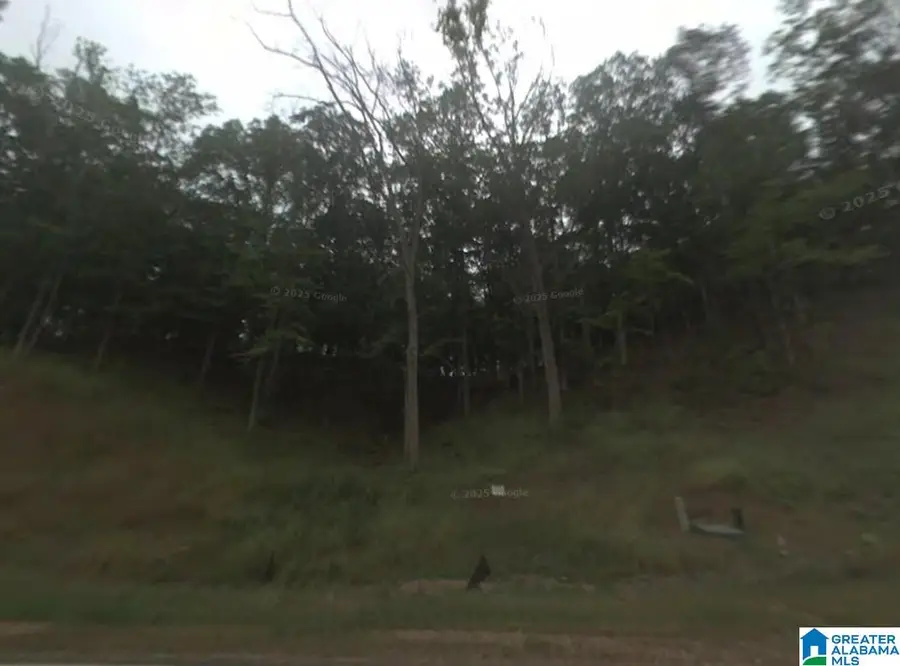 1409 LOOKOUT MTN DRIVE, Scottsboro, AL 35769 - #2