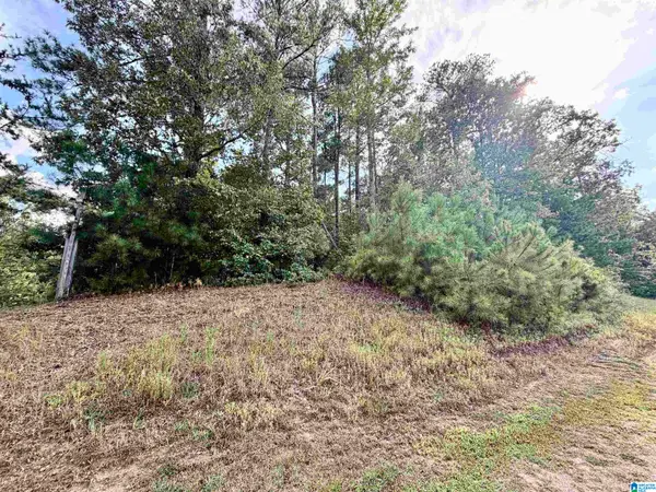 364 COUNTY ROAD 835, Clanton, AL 35046