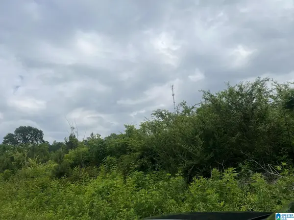 TBD CHANDLER MOUNTAIN ROAD, Steele, AL 35987