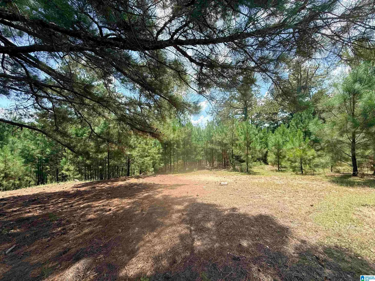 0000 ROCKYVIEW ROAD, West Blocton, AL 35184 - #1