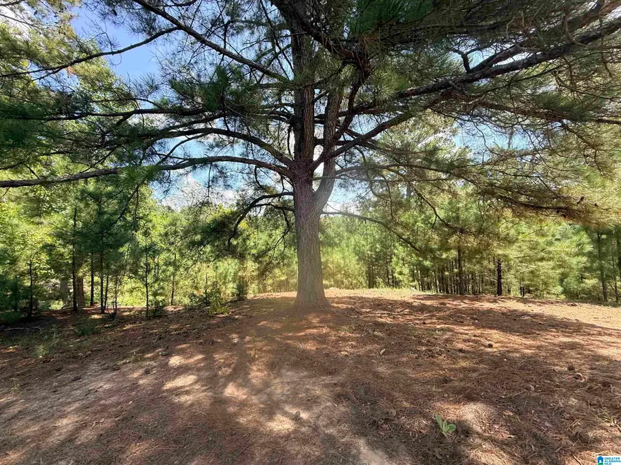 0000 ROCKYVIEW ROAD, West Blocton, AL 35184 - #2