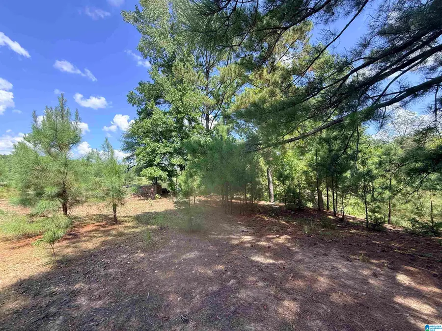 0000 ROCKYVIEW ROAD, West Blocton, AL 35184 - #3