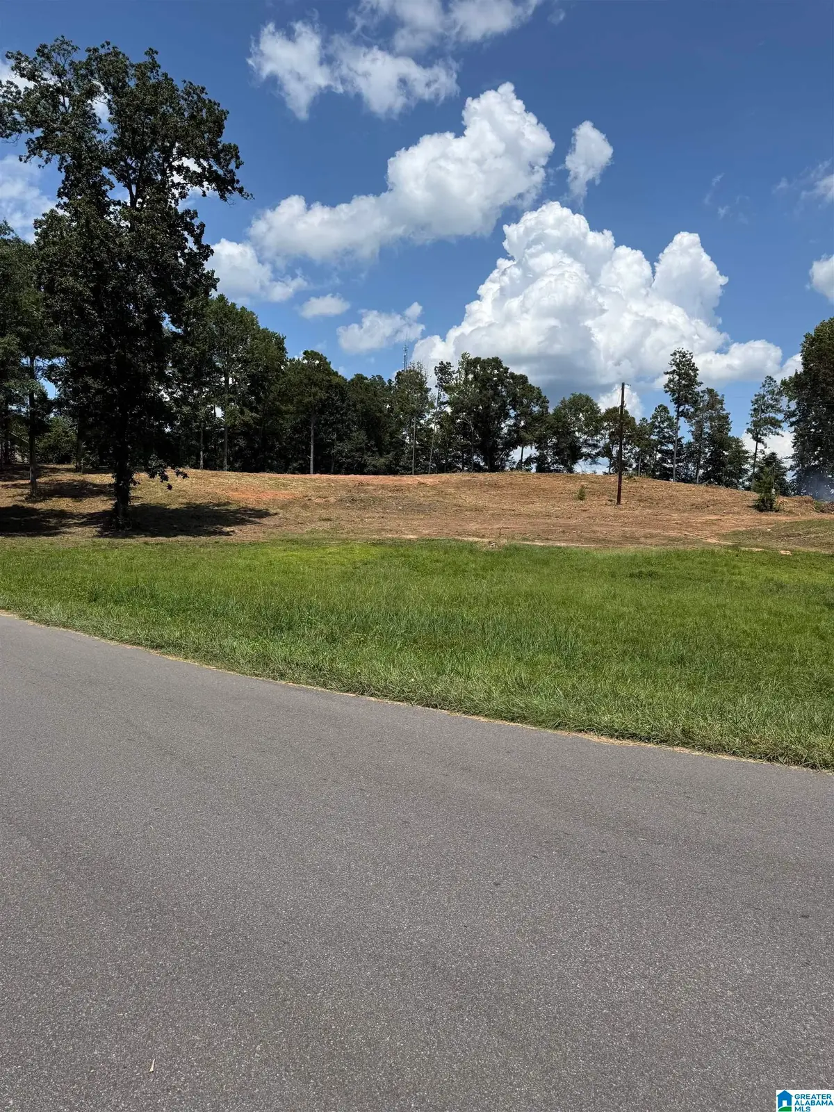0 MISSISSIPPI AVENUE, Thorsby, AL 35171 - #1