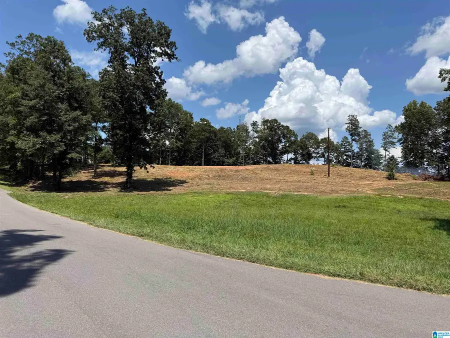 0 MISSISSIPPI AVENUE, Thorsby, AL 35171 - #3