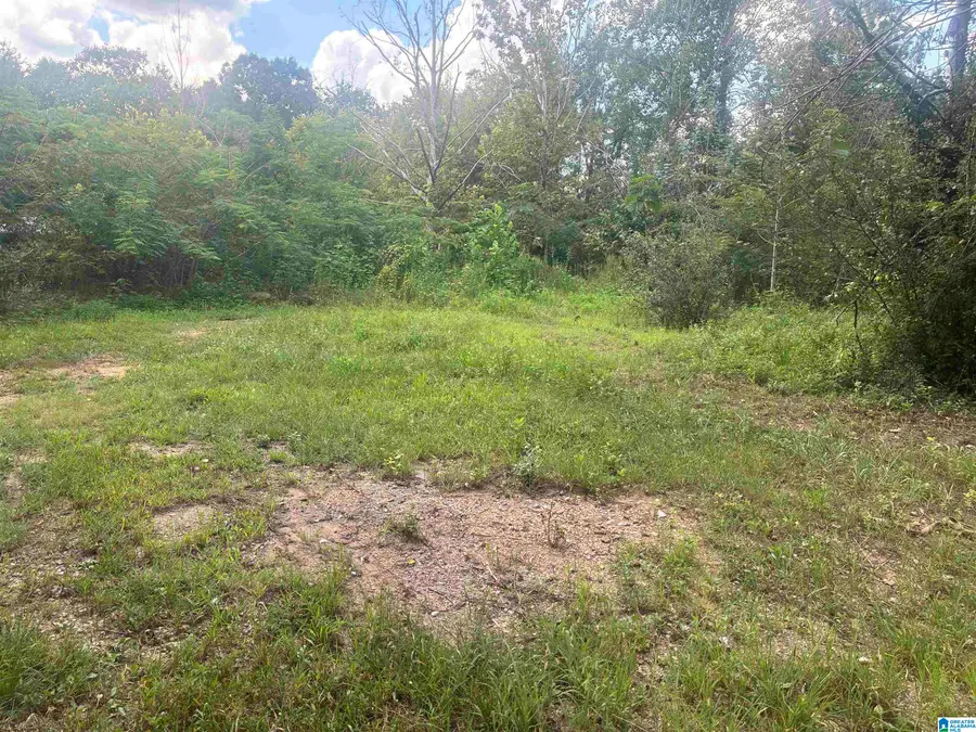 7274 TAYLORS FERRY ROAD, Bessemer, AL 35023 - #2