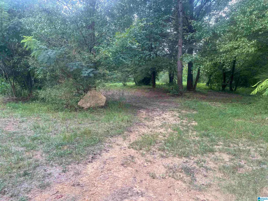 7274 TAYLORS FERRY ROAD, Bessemer, AL 35023 - #3