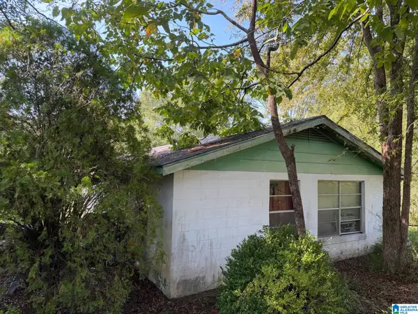 98 IRIS LANE, Alpine, AL 35014